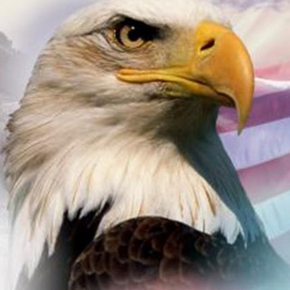 Meet your Posher, Joey Jones Jr.